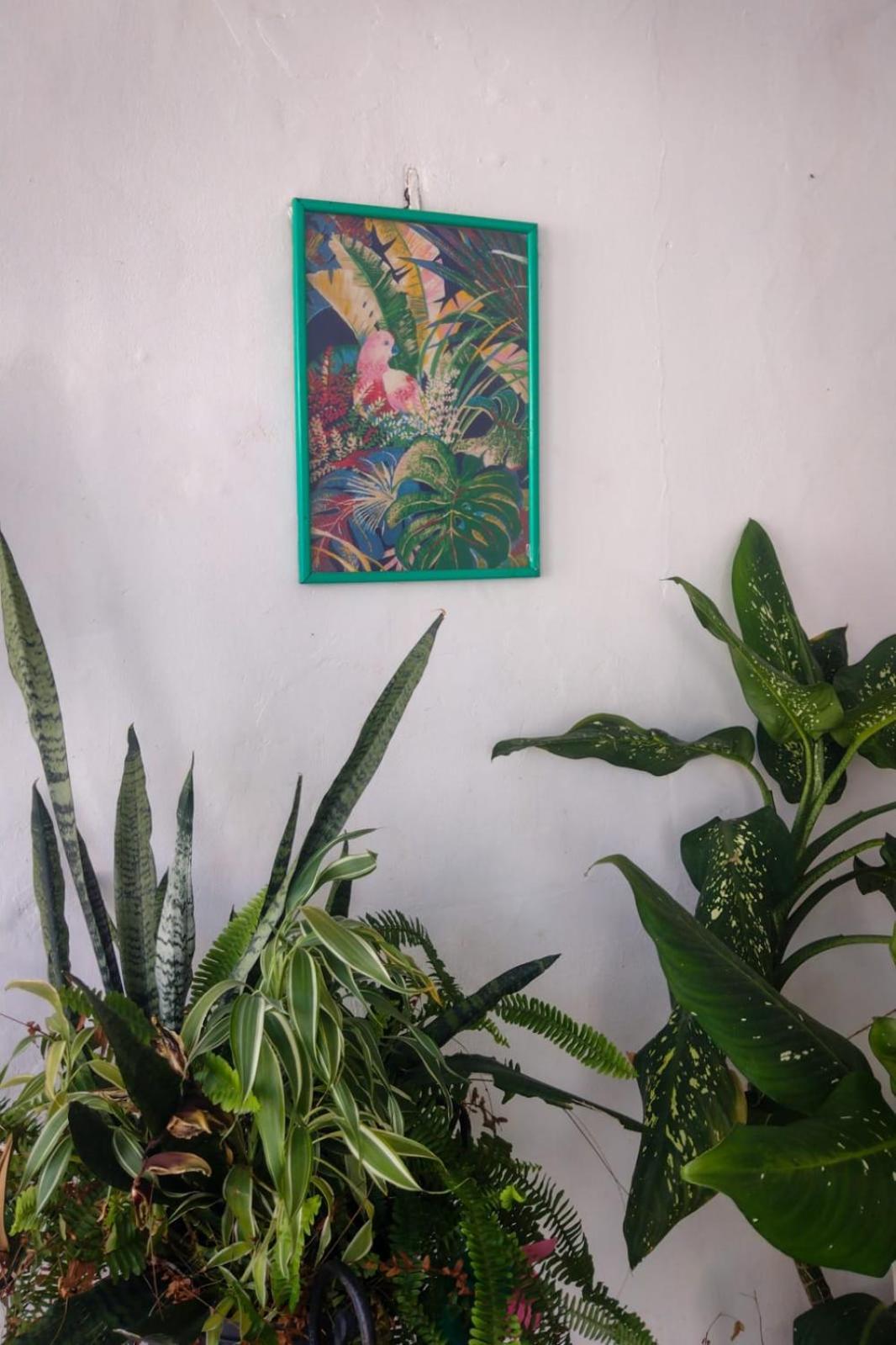 Residence Girassol Belem  Luaran gambar